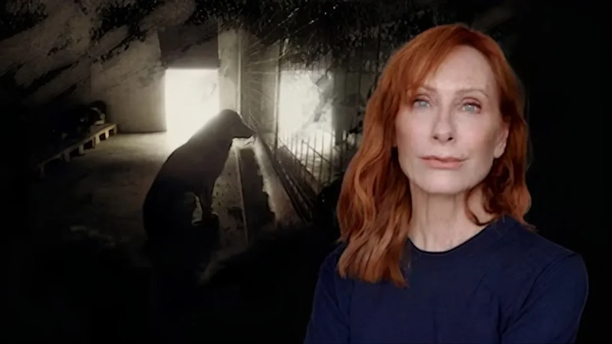 NaTiNo Reportage über Rumäniens vergessene Hunde